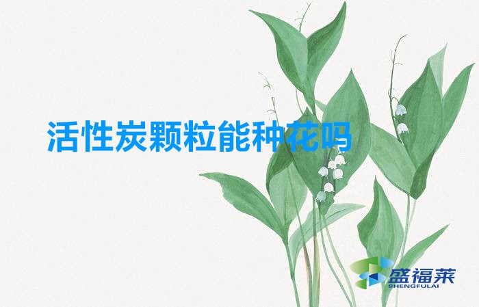 活性炭顆粒能種花嗎(活性炭怎么用來養(yǎng)花)