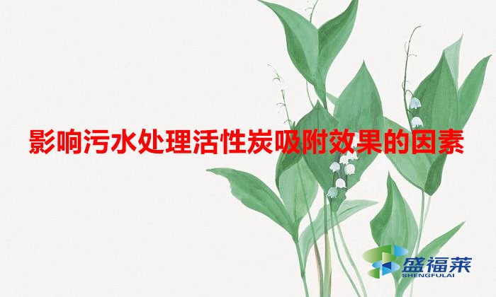 影響污水處理活性炭吸附效果的因素(水處理活性炭效果與哪些因素有關(guān))