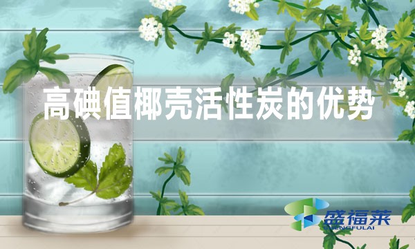 高碘值椰殼活性炭在飲用水處理中的優(yōu)勢以及缺點