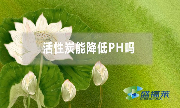 活性炭能降低PH嗎？為什么？