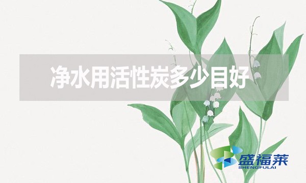 凈水用活性炭多少目好？有哪些優(yōu)缺點？