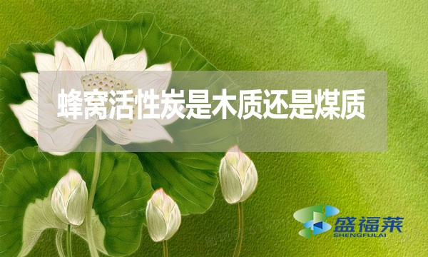 蜂窩活性炭是木質(zhì)還是煤質(zhì)？哪種好？