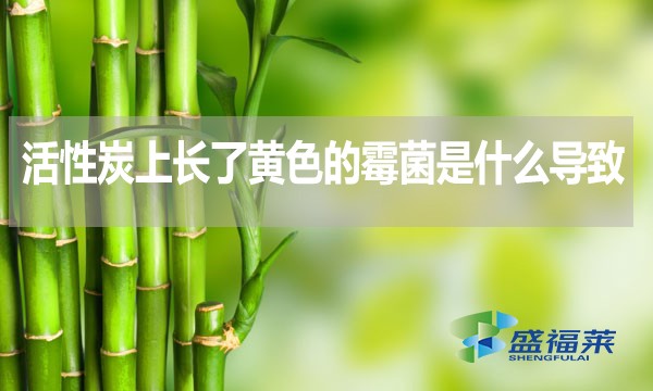 活性炭上長了黃色的霉菌是什么導(dǎo)致的？還能不能使用？